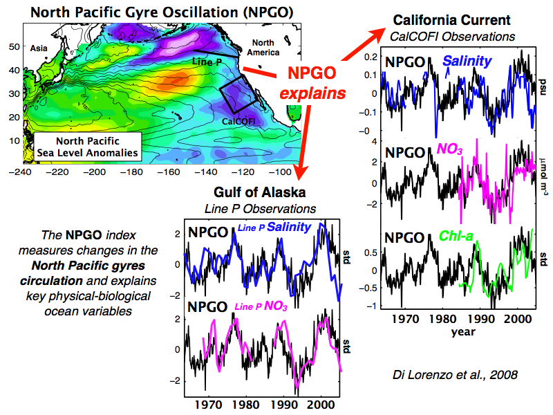 download melt inclusions in volcanic systems methods applications and problems